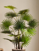 Alamkari India Fabric & Plastic Artificial Fan Palm in Black Pot (120 cm)